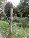 IMG_3191