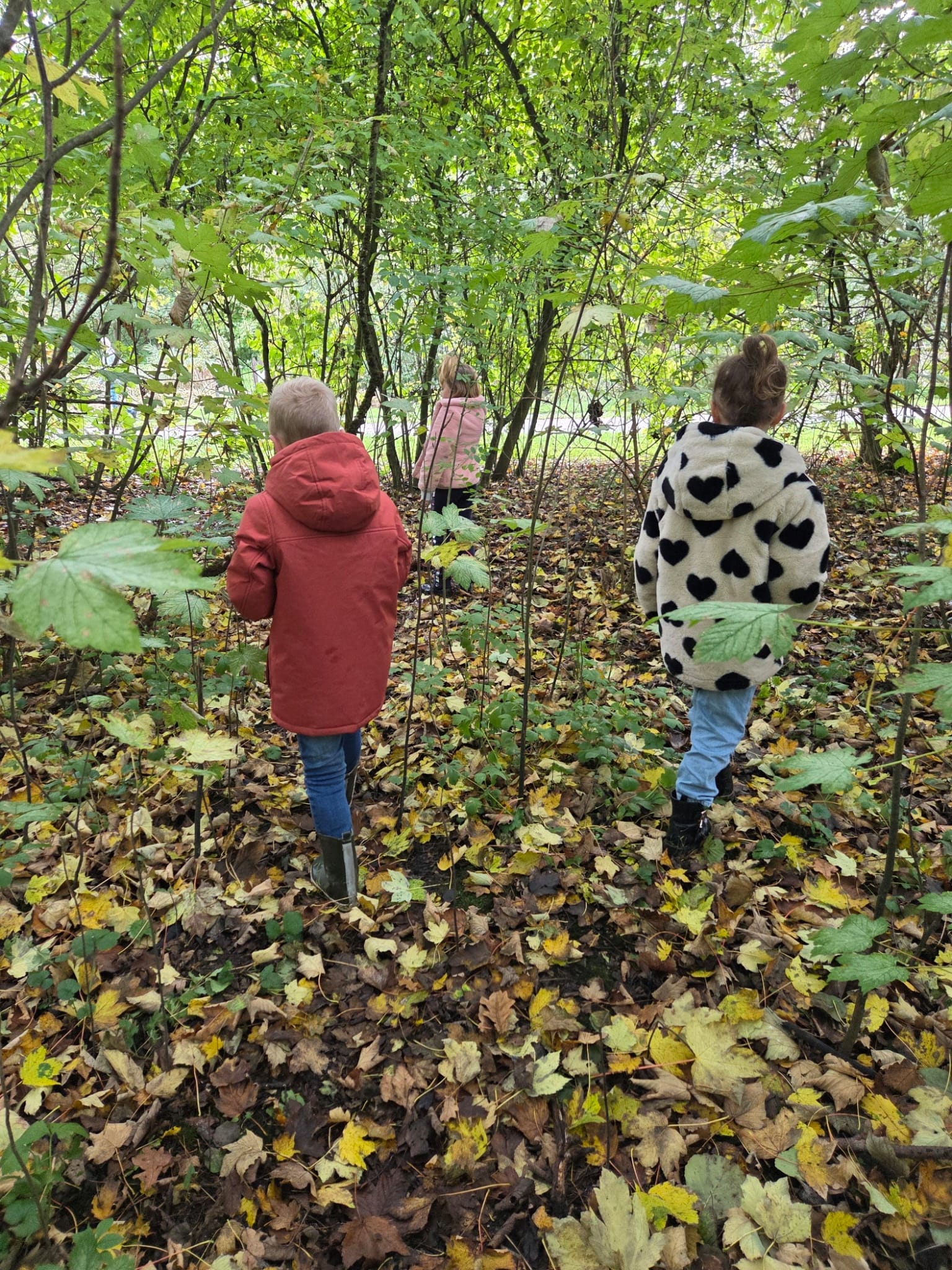 Excursie naar het Streekbos 