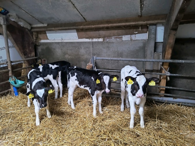 1-31fb9525ca4741fd880798acf3926ceb