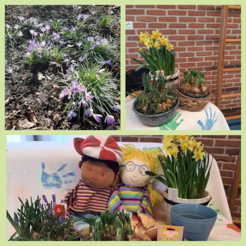 PhotoCollage_20260302_112005273