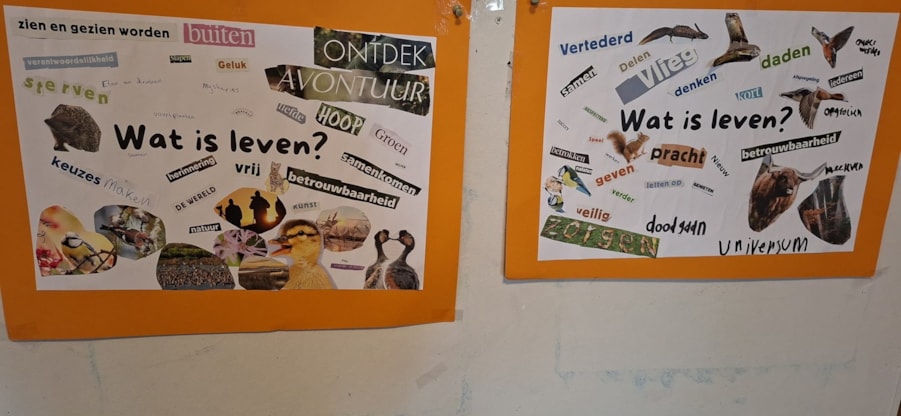 46da8913-5368-4397-b6c6-acd230048611