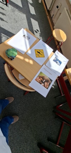 4624d659-1ba2-4d03-ba4b-e8d0e8b2dc8e