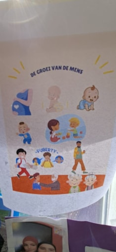 439b836c-8cd3-410f-b452-51bf90fda80d